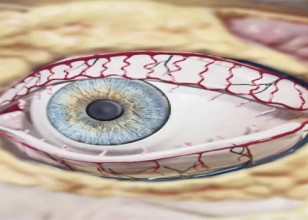 Pershkrimi i Imazhit